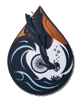 Freediving Association of India